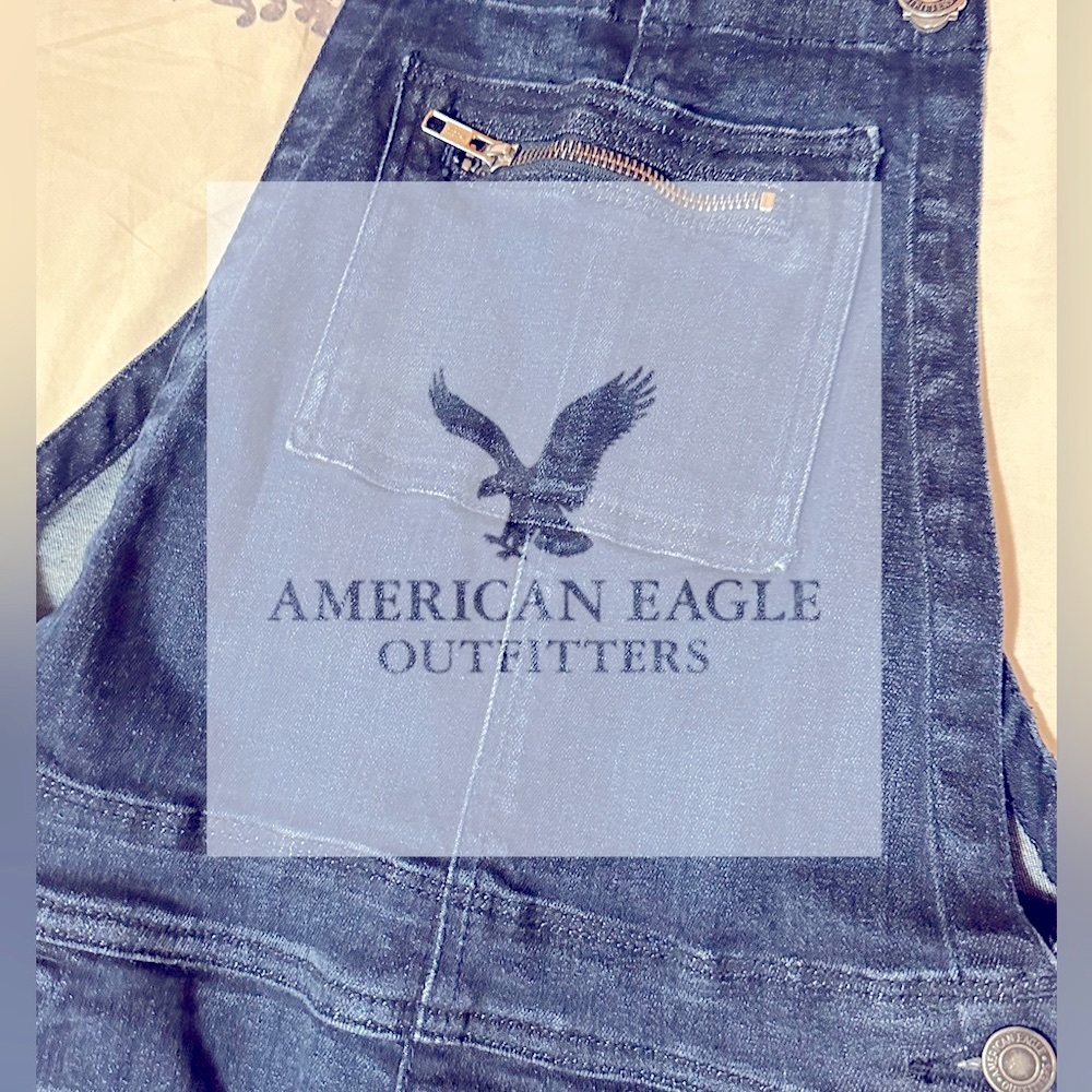 AE Stretch Denim American Eagle Jean Distressed Denim Overall Jegging Like New!
